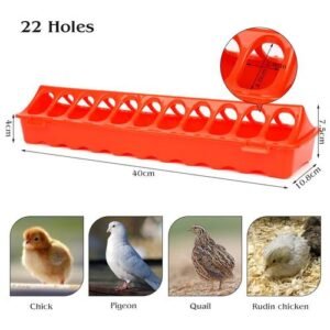 40cm 22 Holes Poultry Clamshell Birds Chick Pigeon Ground Feeder Long Trough Water Bowl Farming Tool Farm Breeding Supplies