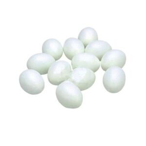 20 Pcs Pigeon Eggs For Hatch Chicken Duck Small Geese Incubation Breeding Solid Free Shippingd35