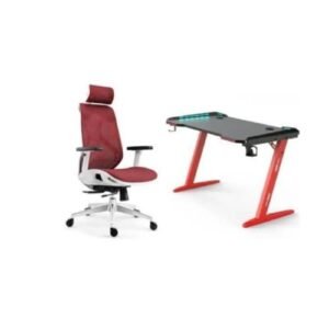 Executive Gaming Table And Mesh Office Chair Set- Multicolour